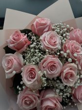 rose rosa